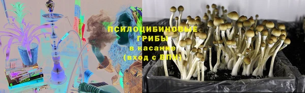 хмурый Верея