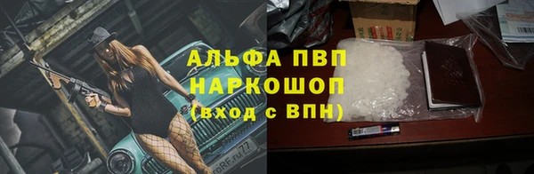 хмурый Верея