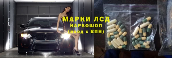 хмурый Верея