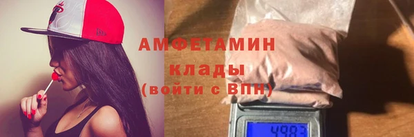 хмурый Верея