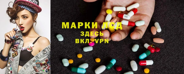 хмурый Верея