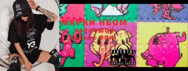 хмурый Верея