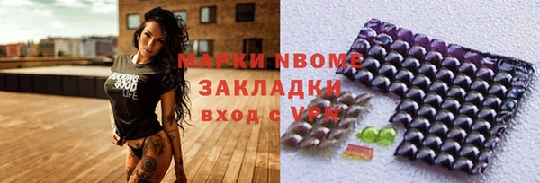 хмурый Верея