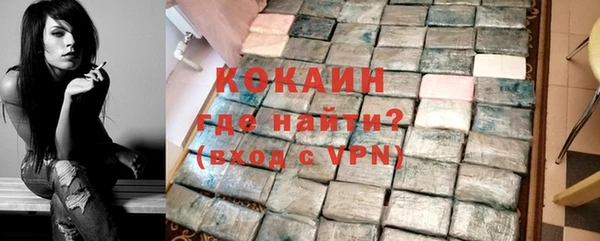 хмурый Верея