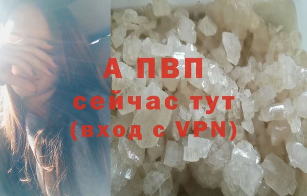 хмурый Верея