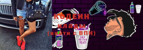 хмурый Верея