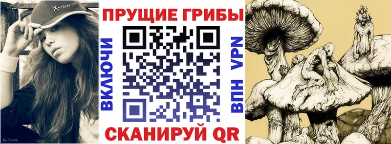 Купить закладки  Верхняя Салда  Галлюциногенные грибы ЛСД 